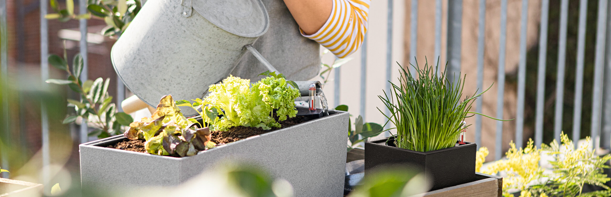 woman outside on balcony watering plants
